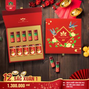 Hộp Quà Sắc Xuân 1 (Dịch + Yến)
