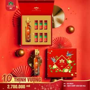 Hộp Quà Thịnh Vượng 2024 (Gold + dịch)